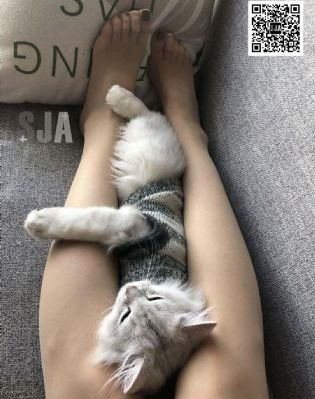 欧美网友热议lpl半决赛_BD英语高清电影在线